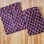 Jaipur Print Straight Cut Kurti with Straight Pant