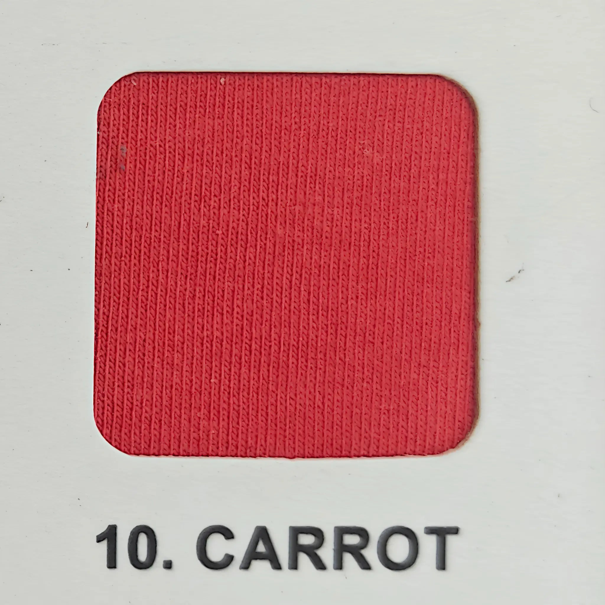 Legging - Carrot